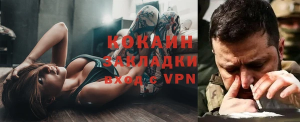 мдпв Каменногорск