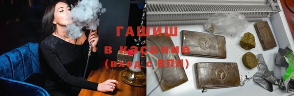 мдпв Каменногорск