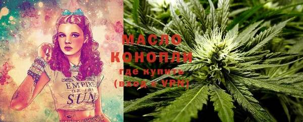 мдпв Каменногорск