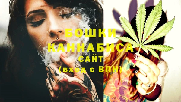 мдпв Каменногорск