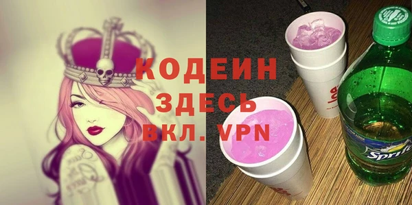мдпв Каменногорск