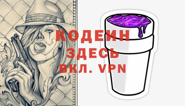 мдпв Каменногорск