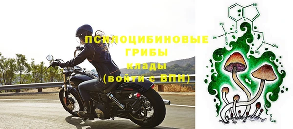 мдпв Каменногорск