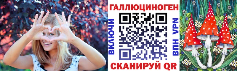 Псилоцибиновые грибы Psilocybine cubensis  kraken ONION  Мураши 